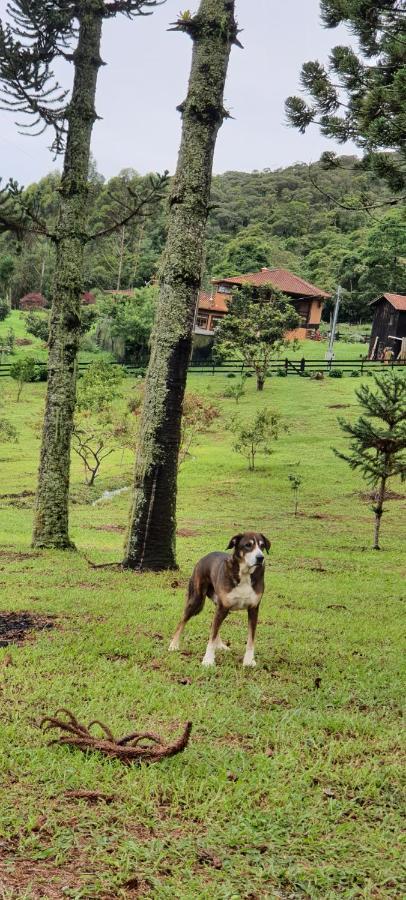 Pousada Do Morro Verde Carvalhos Exterior photo
